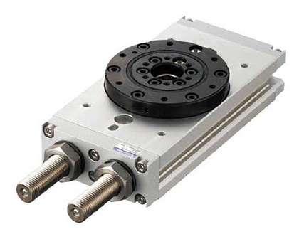 RAF Piston Type Rotary Actuator