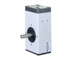 RAP Piston Type Rotary Actuator