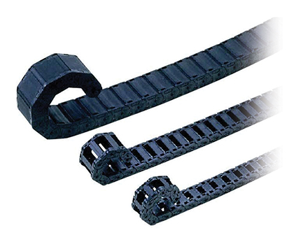 Plachain Ducts